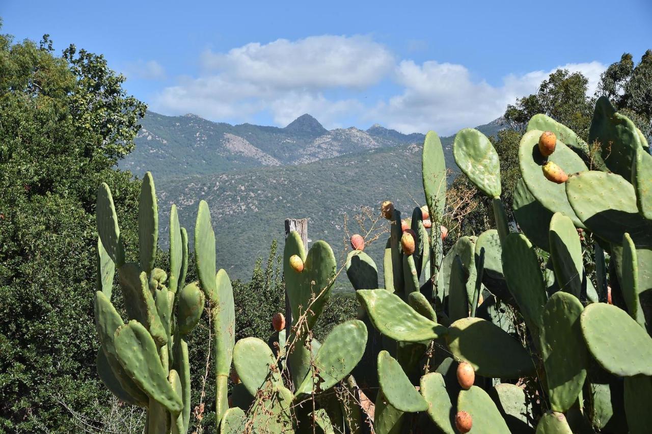 Résidence Terracorse Figari  Esterno foto